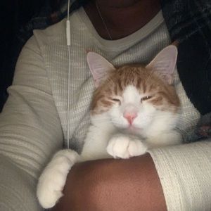 Meet your Posher, Annette